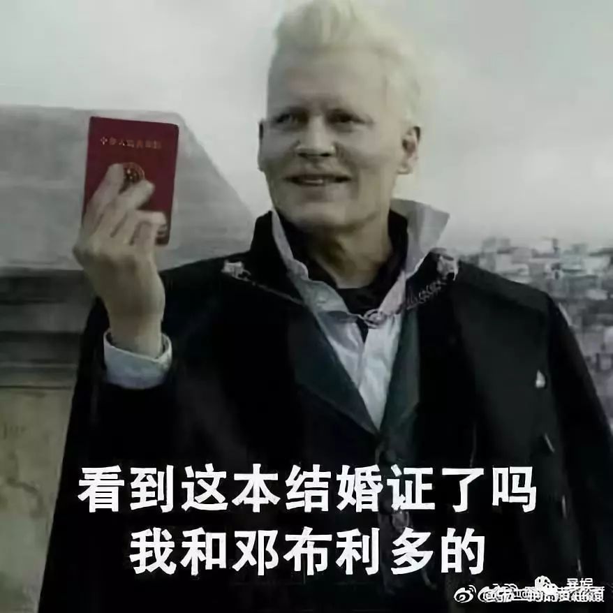 所谓哈迷的狂欢不过是失望之极下的*慰自**｜影评