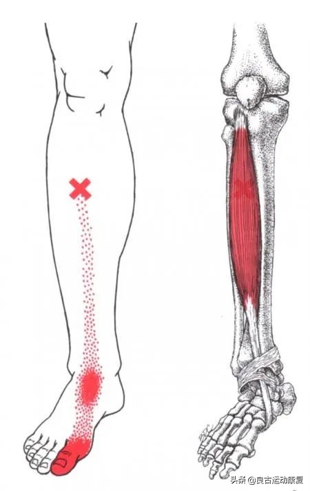 26张图教你提高效率,30张治愈效果图
