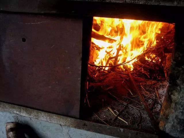 兰花的根腐烂用高锰酸钾消毒行吗,兰花分盆之后用什么给根消毒