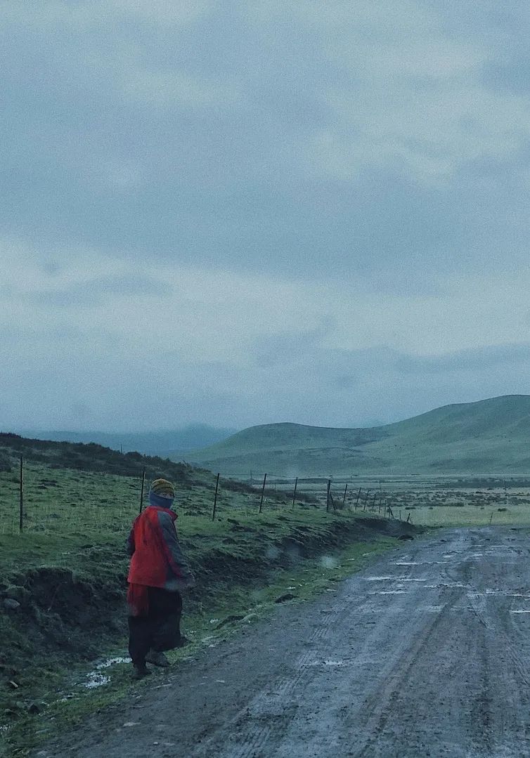 「Norden」草原上的缄默声