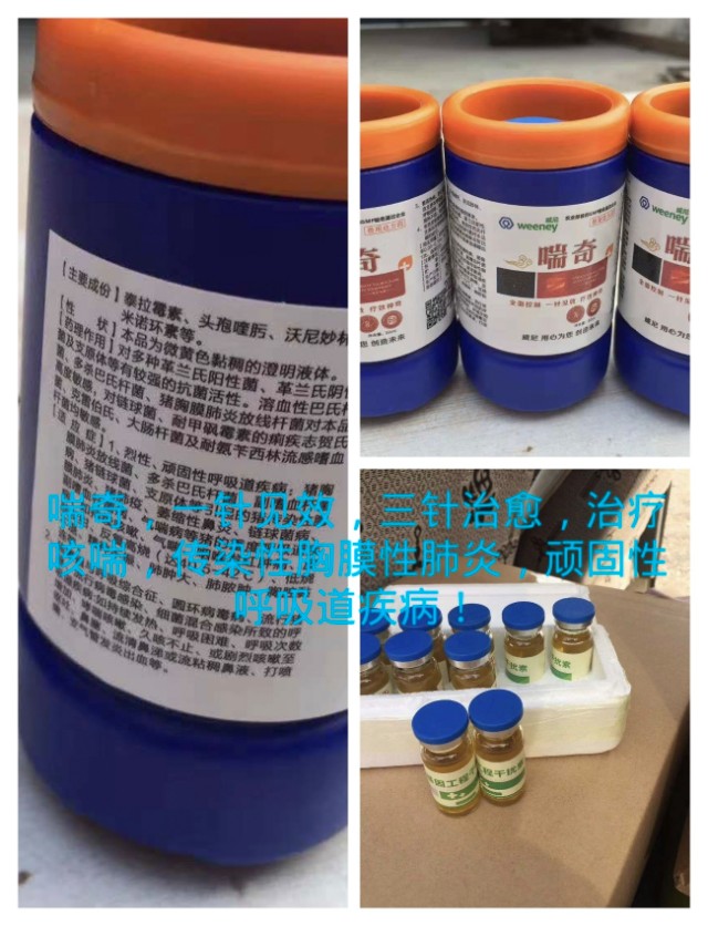 牛病治疗大全视频,常见牛病防治方法大全图解