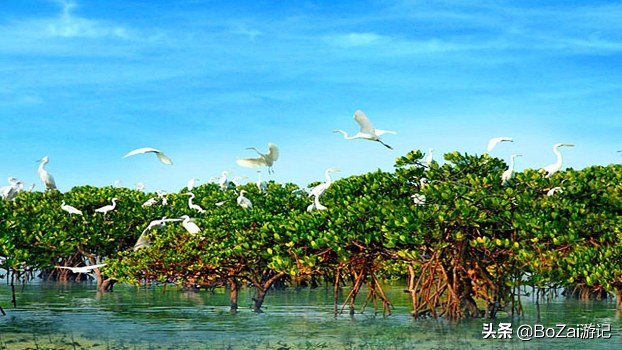去广西北海旅游景点攻略,广西北海旅游攻略必去景点有哪些