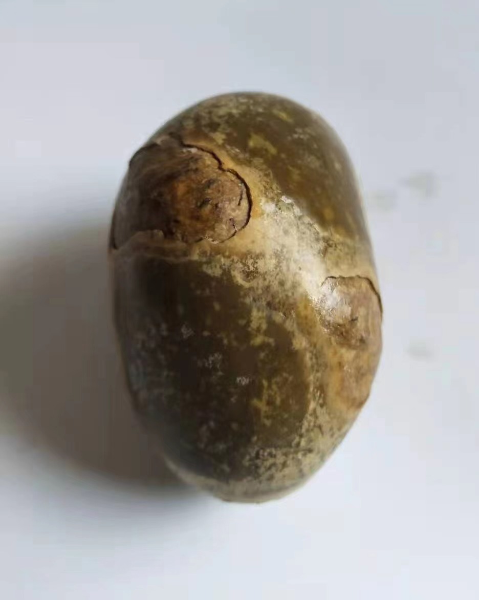 羊宝精品礼盒装,罕见精品羊宝图片