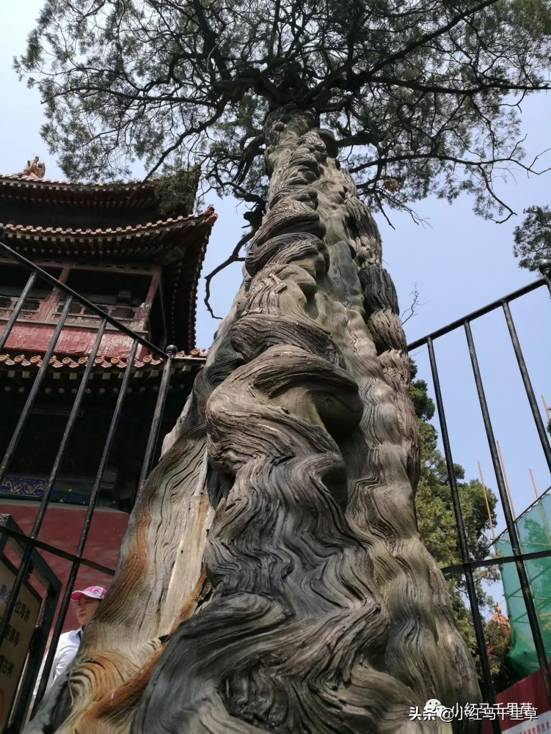 世界文化遗产曲阜孔庙孔林孔府,中国的世界文化遗产曲阜孔庙