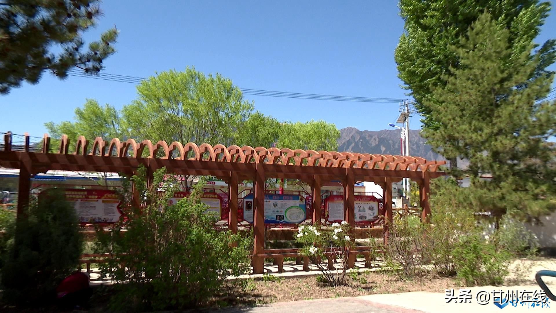 全省脱贫攻坚总结表彰大会反响,甘肃省脱贫攻坚表彰大会临夏