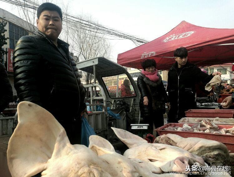 航拍闫庄镇街景,嵩县闫庄图片