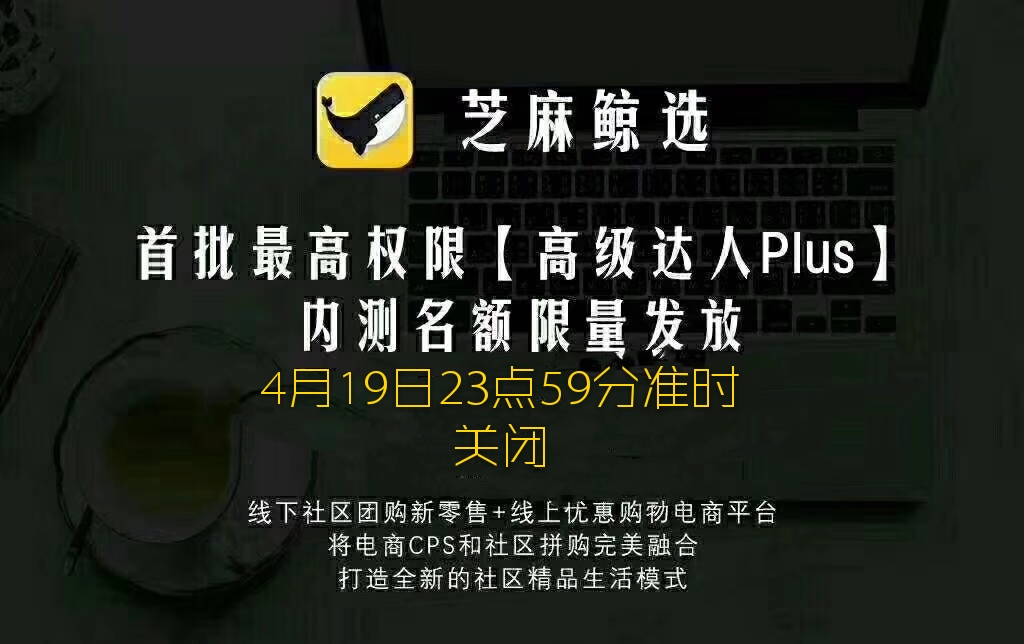 我能想到的最浪漫的事就是用芝麻鲸选享受美好生活