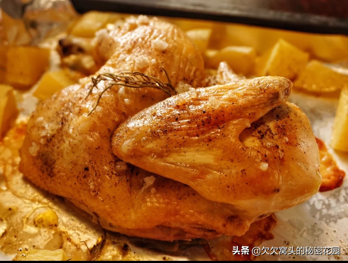 一座可以吃的花园--香草花园2迷迭香