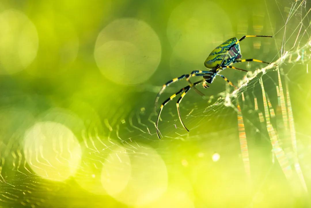 香港第14届全国摄影艺术展,第29届全国摄影艺术展览获奖名单