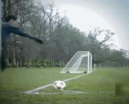 插花脚射门扎哈维,最惊艳的插花艺术