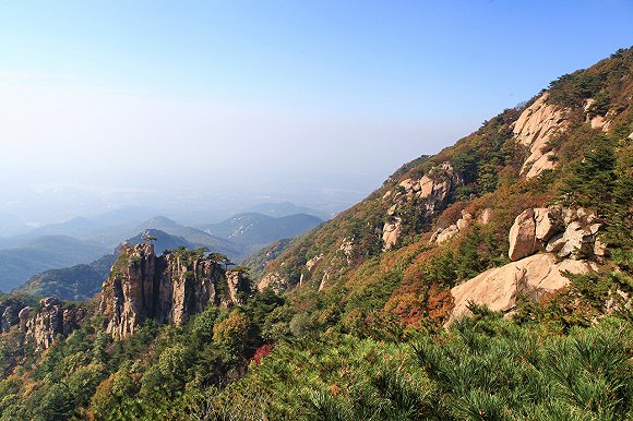 “疫”净花开，摘下口罩的那一天，我在山东等你