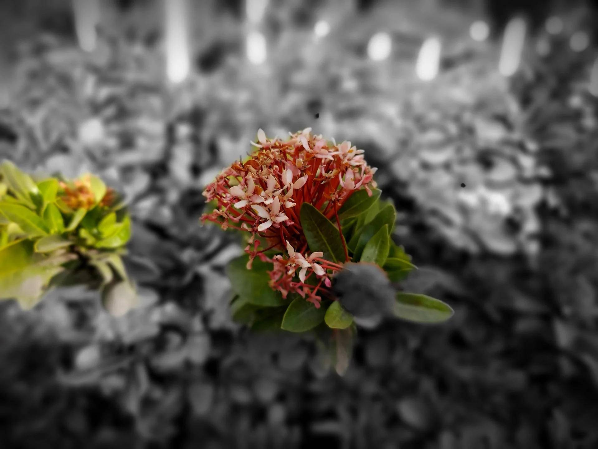 外媒三星galaxys10全系列上手体验,三星galaxys10sm-g9730评测