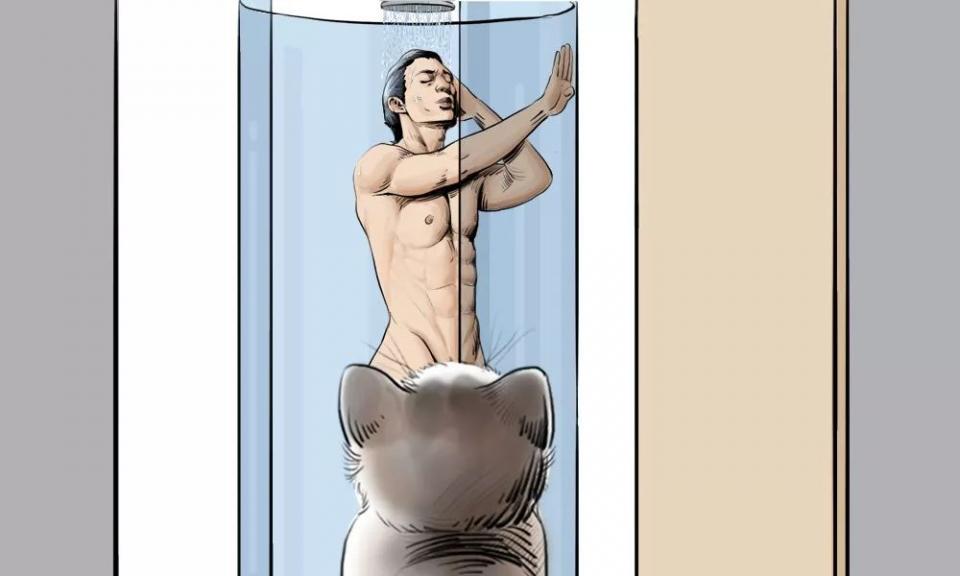 城市里养猫的人非富即贵,有多少人养猫家里有钱了