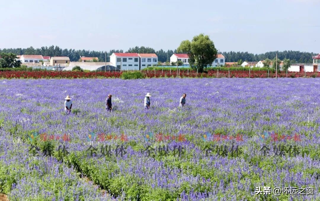 淮北市最值得去的旅游景点,淮北旅游区10大景点