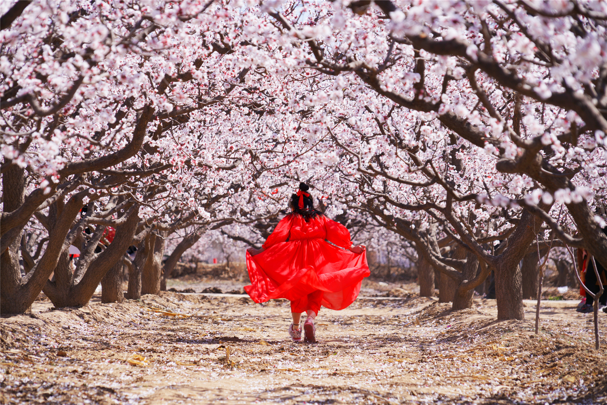 河北这座文旅小城值得一去,河北的一座小县城