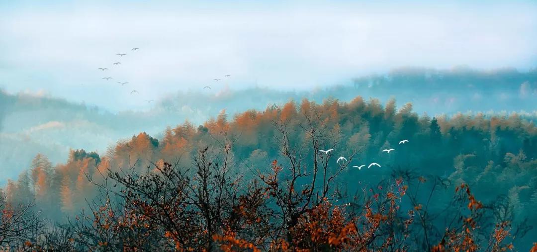 袅袅炊烟升起诗情画意,山间炊烟袅袅诗词