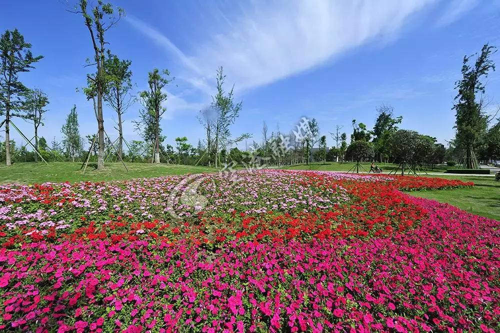 世警会开幕日期,世警会开幕时间