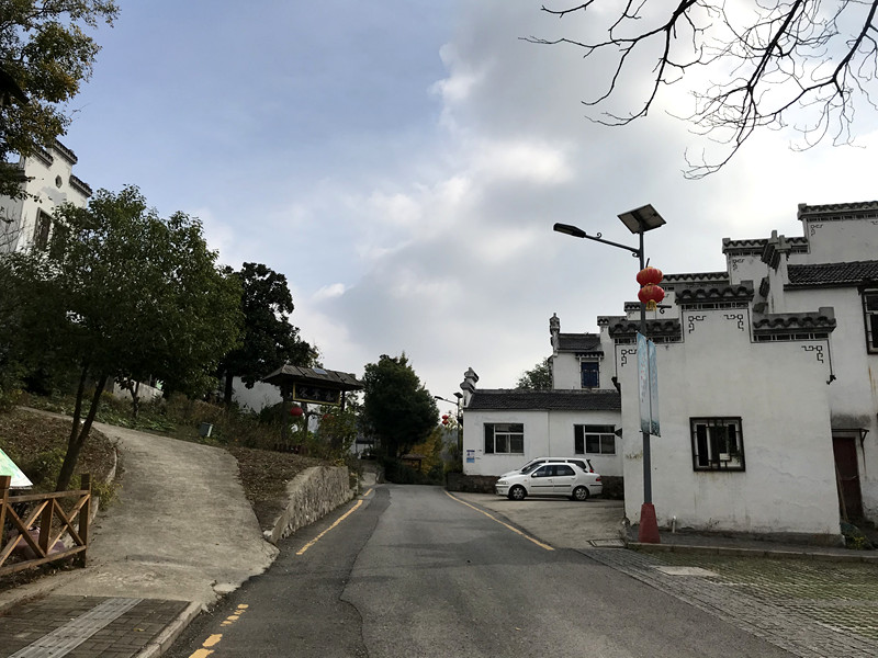 采菊东篱下悠然见南山拙政园,采菊东篱下悠然见南山芒种