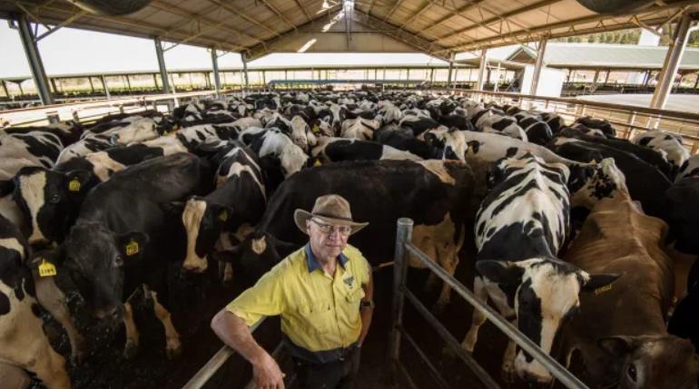 蒙牛收购澳洲奶企,蒙牛收购澳大利亚乳品