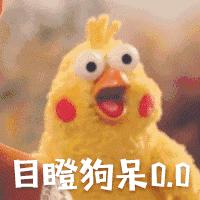 一分钟带你了解什么,一分钟带你了解更新内容