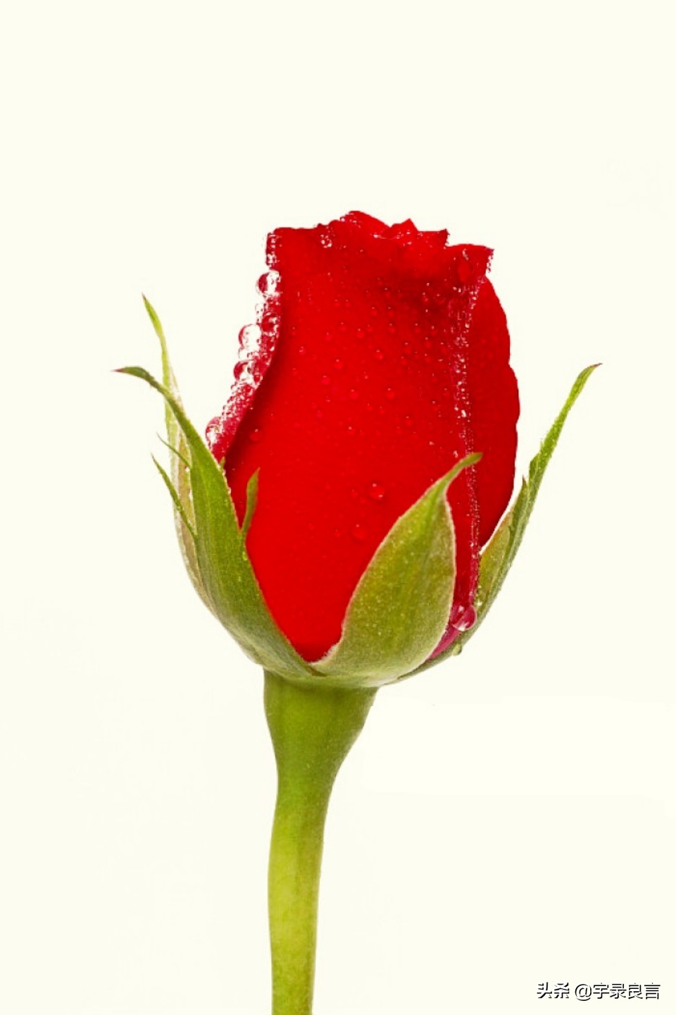 个性签名有深意的句子,个性签名简洁有深度的句子