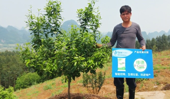 法国缔马维德,法国缔马肥料怎么样