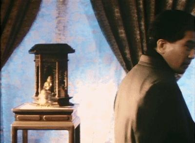 张曼玉林青霞电影三毛,林青霞自传回忆三毛写了什么