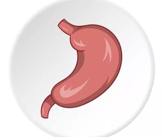 得胃癌之前有什么症状,得胃癌前是不是先长息肉