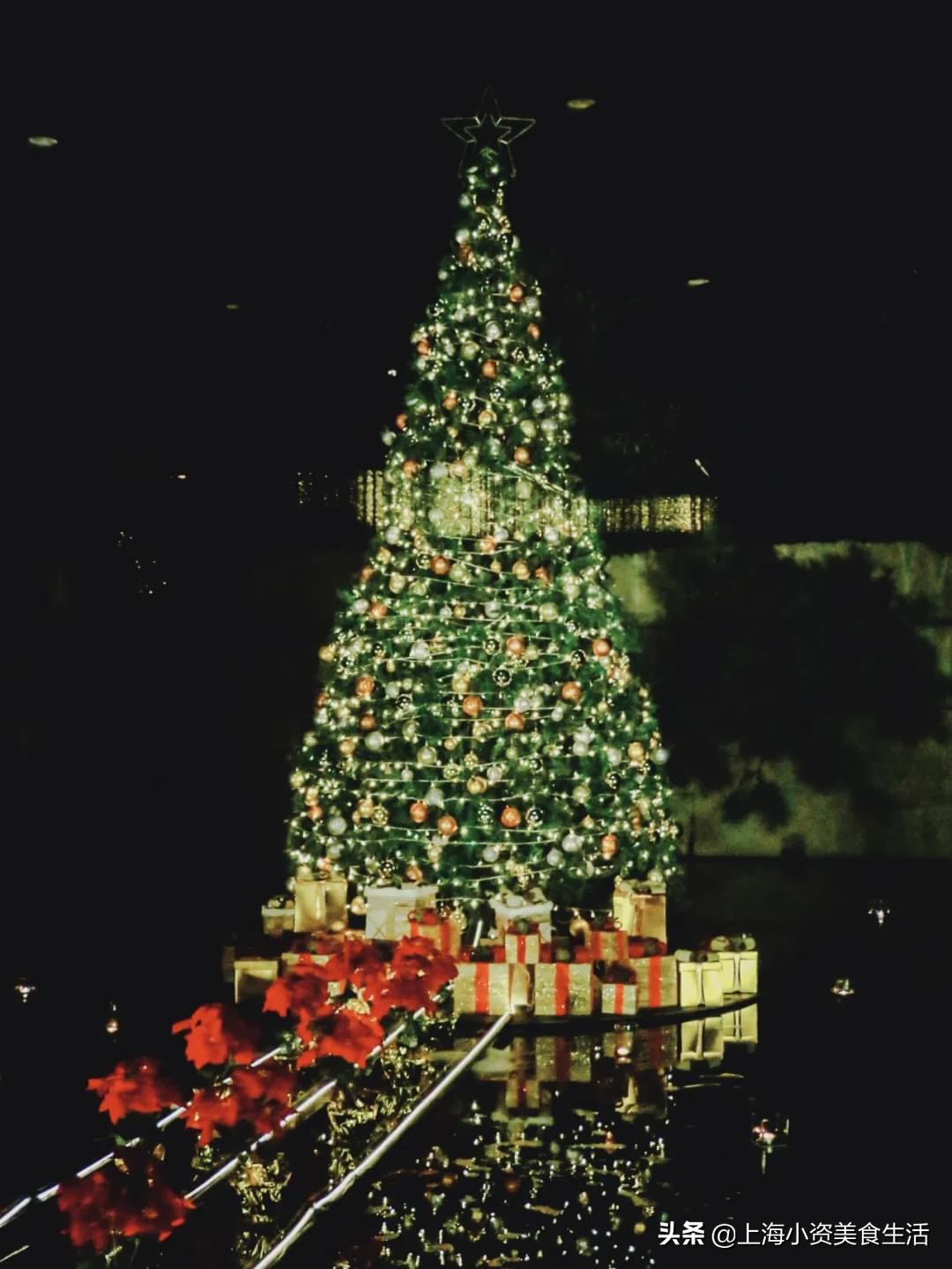 圣诞不再孤单,圣诞节不孤单