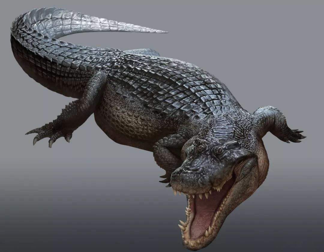 除了恐龙还有哪些已灭绝的生物,史前生物除了恐龙还有什么