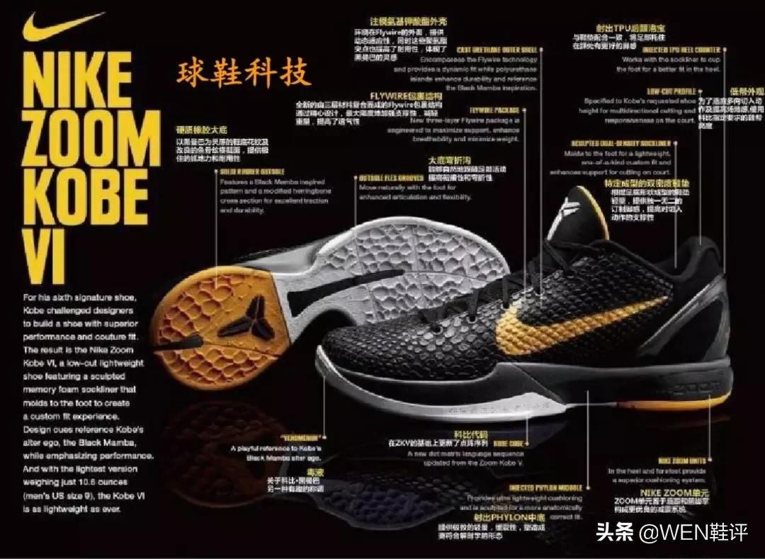 黑曼巴真的黑吗,黑曼巴是真的假的