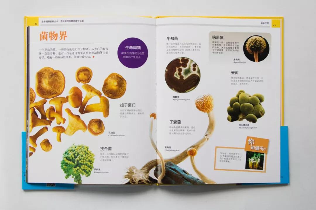 中国科学院院士讲解视频,中国科学院院士谈中国科学