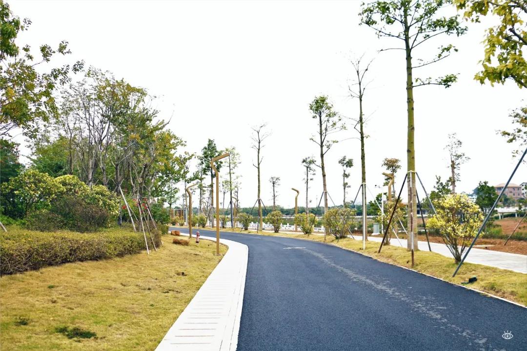 深圳哪个地方有玻璃桥,深圳玻璃桥免费开放吗