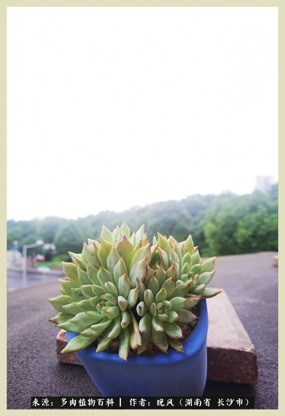 摇身一变成了奶爸,摇身一变成为打工人