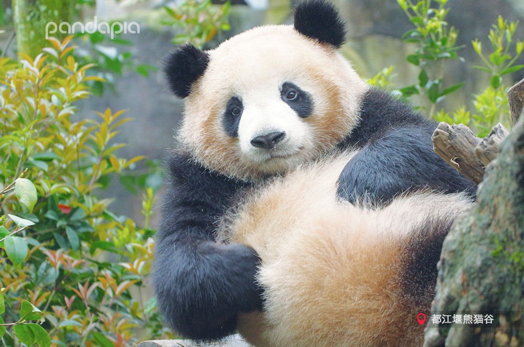 做塑料姐妹,真正的塑料姐妹是什么样的