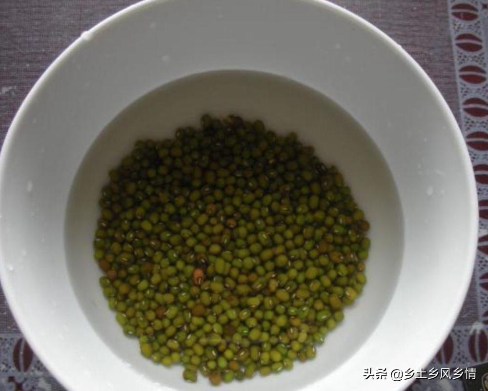 发豆芽的方法视频塑料瓶,发豆芽的简单方法小学生