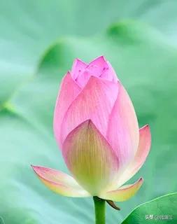 蒲江乡村风光,四川十大贫困县蒲江