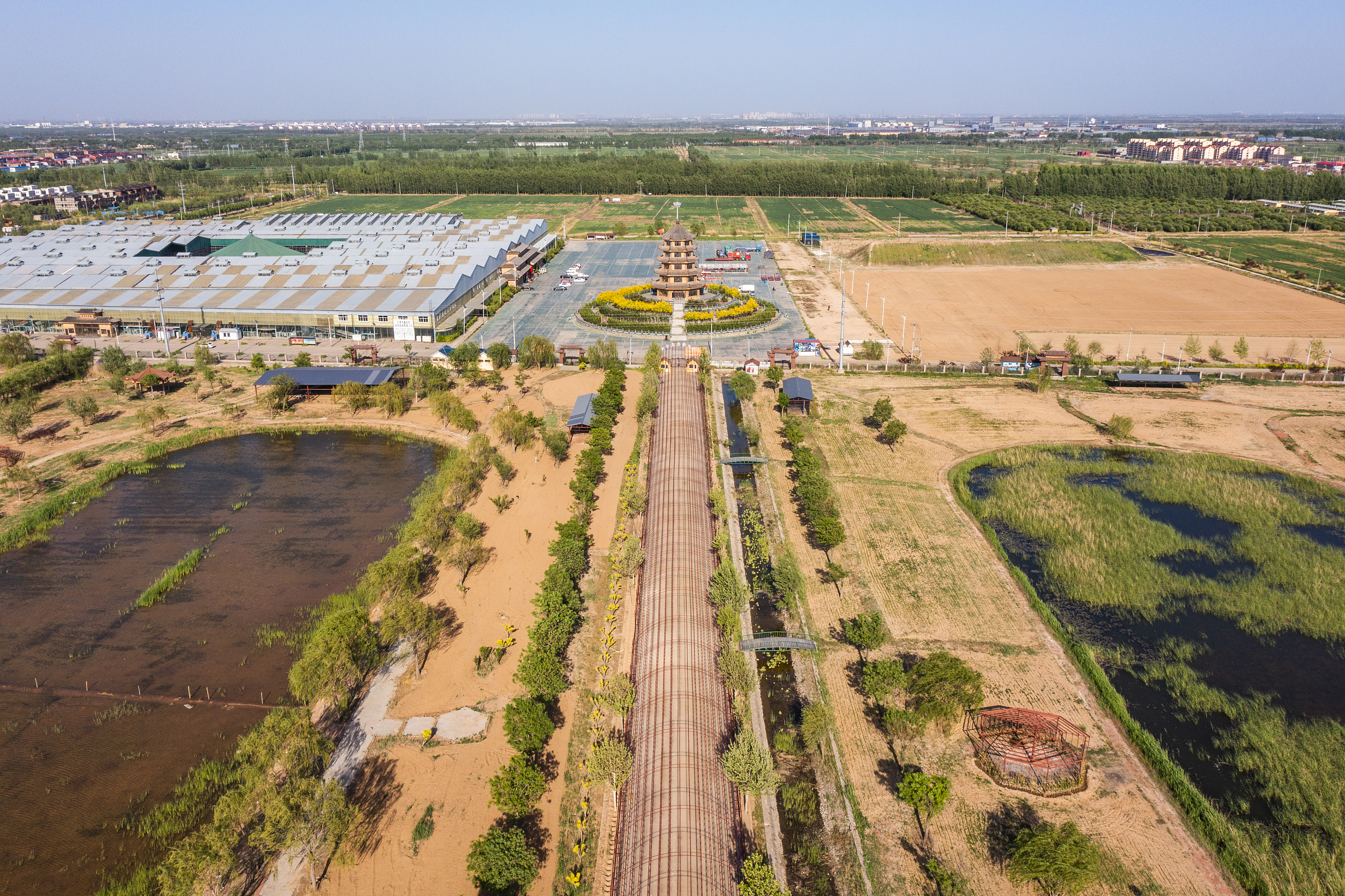 每天一县：天津市静海区