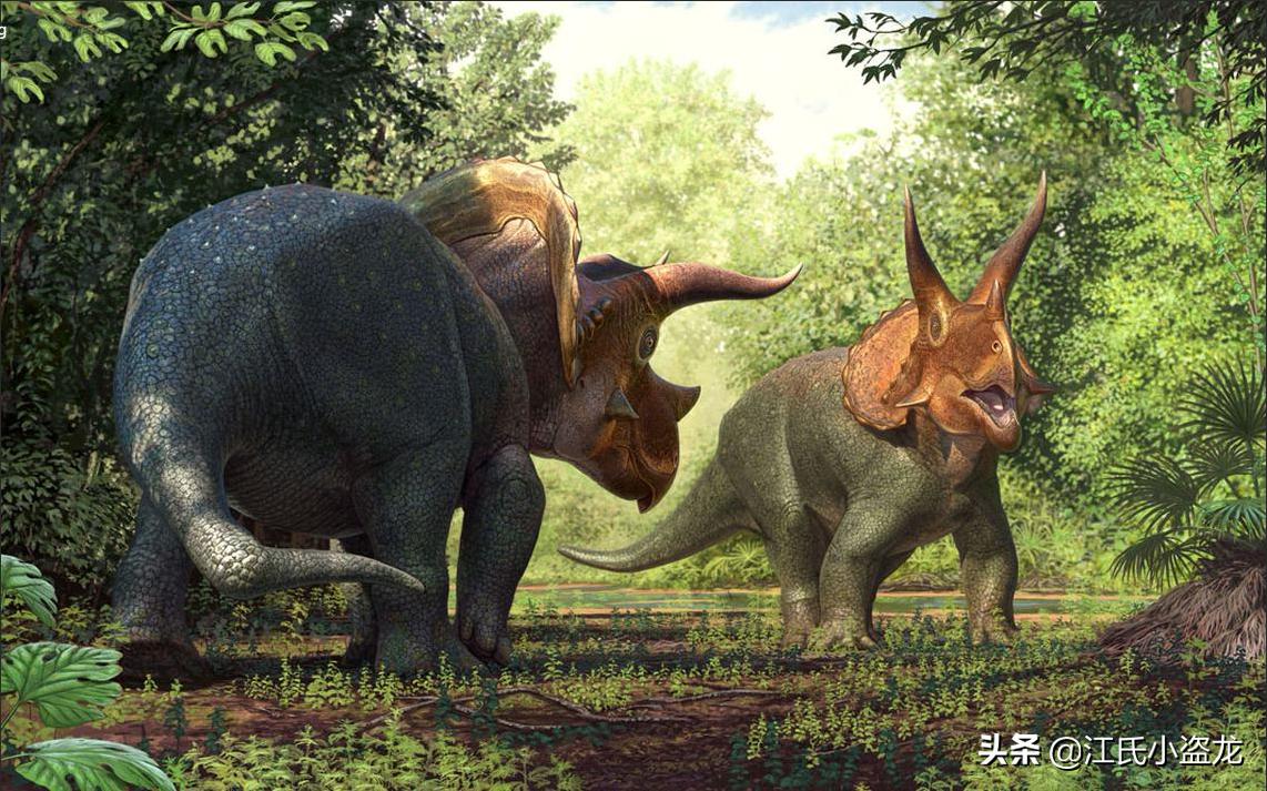 最大三角龙将被拍卖，估价超过千万