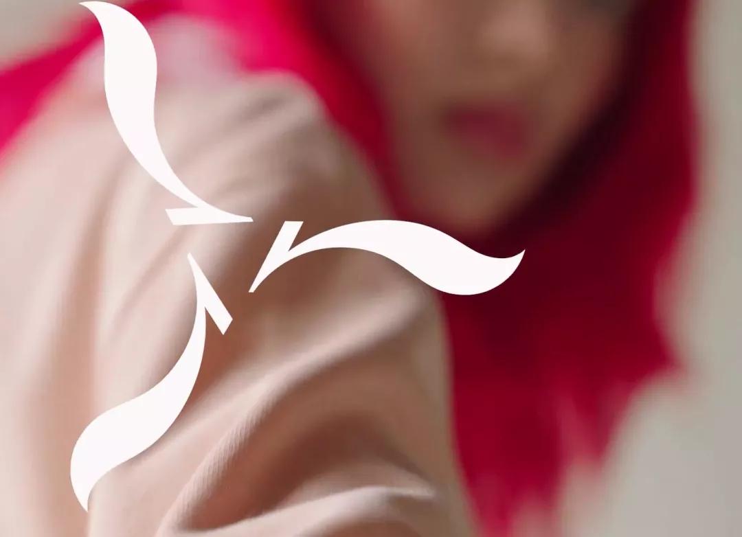 李宁logo换安踏,安踏logo和李宁logo