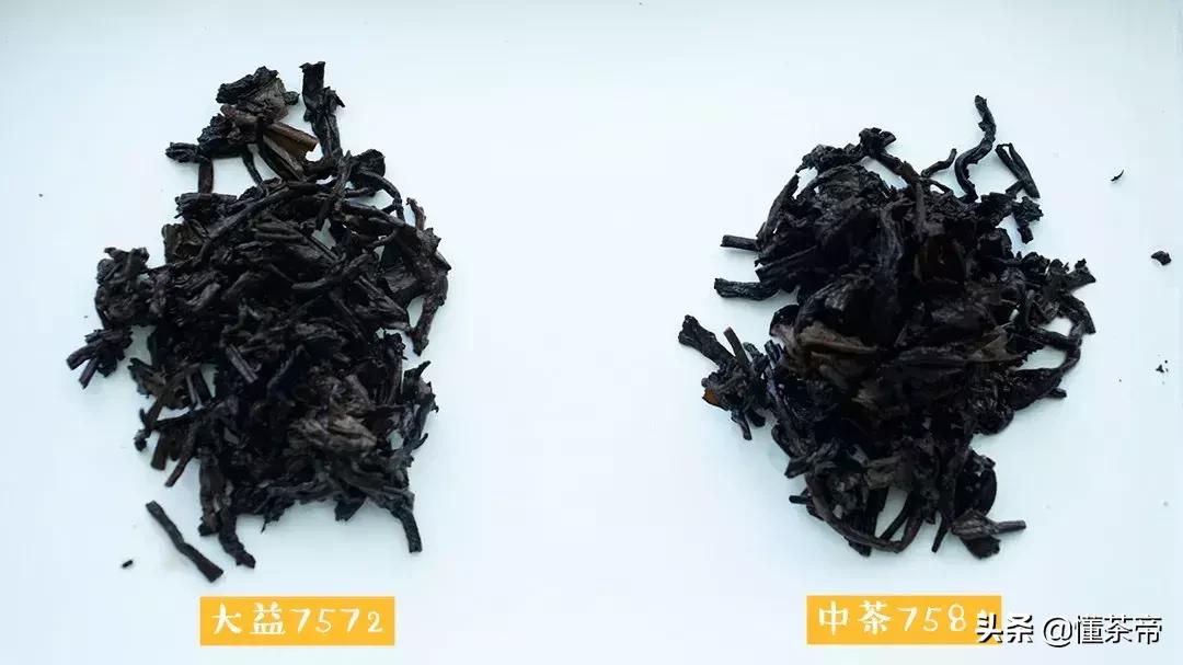大益普洱茶推荐哪种,大益普洱茶哪个系列值得收藏