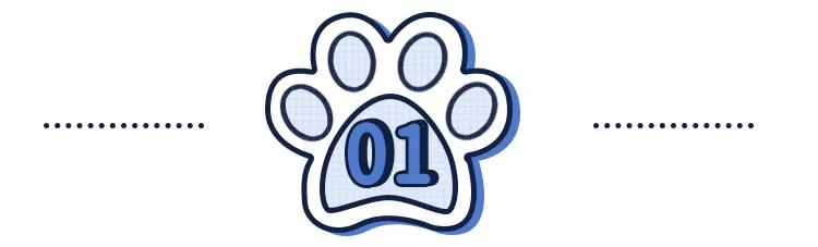 因为爸爸反对家里养狗,奶奶死活不让养狗怎么办