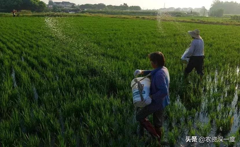 收藏此文你就是肥料专家