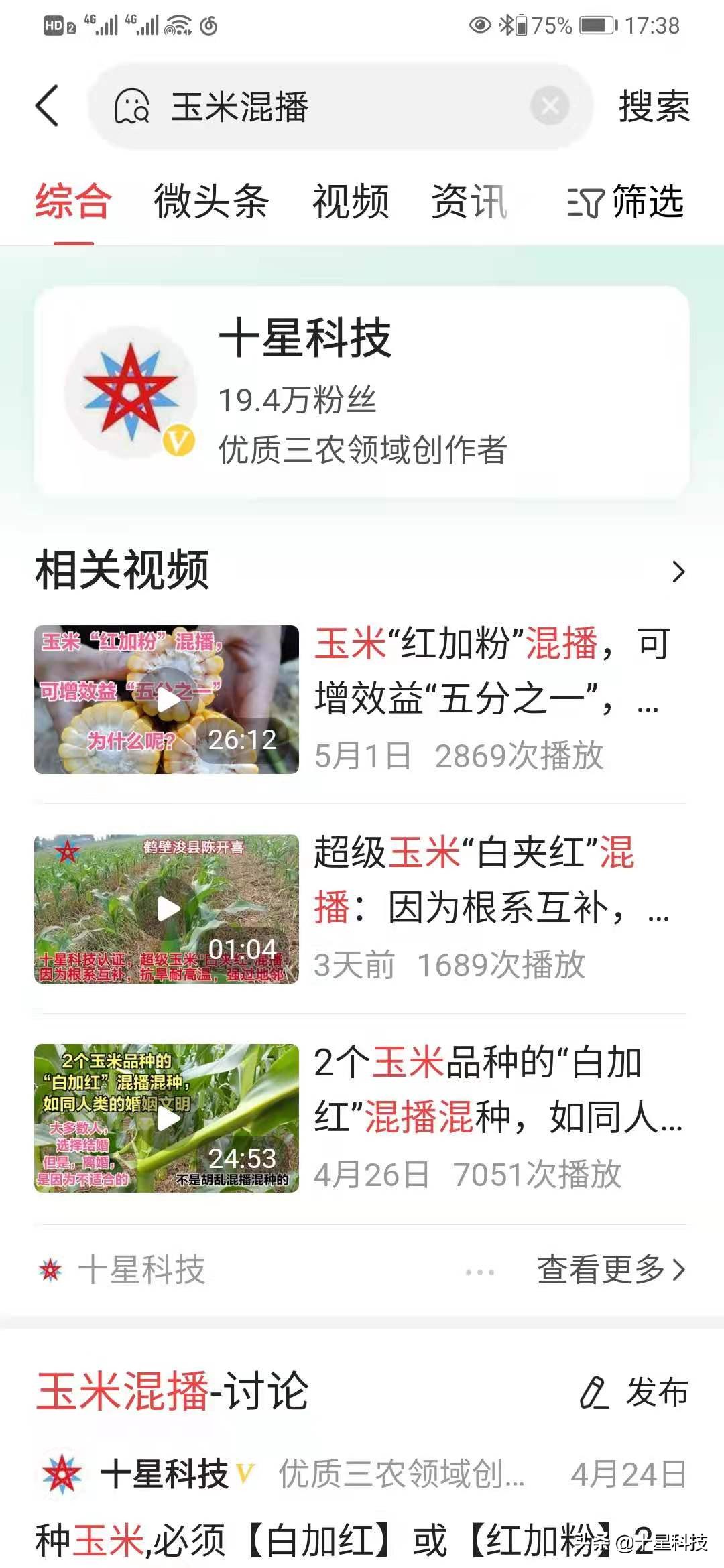 玉米不一样的品种可以混播吗,玉米混播高产吗