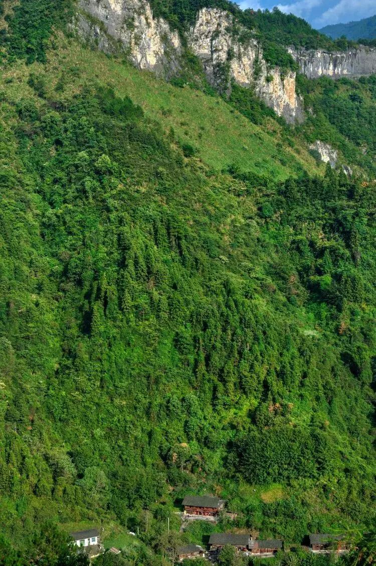 沅陵凤滩介绍,沅陵县凤滩水电站风景