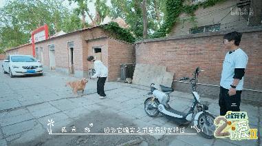 b站必看的综艺,b站能看的综艺推荐