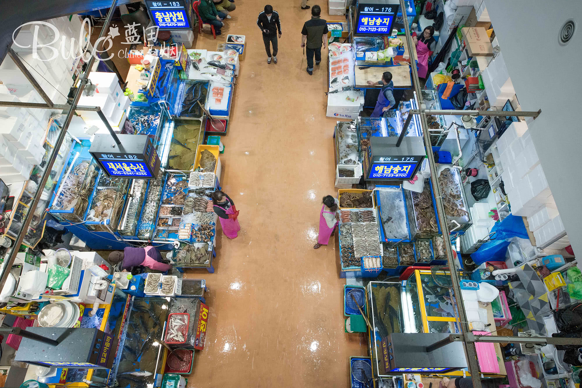 韩国人眼中的首尔海鲜市场,首尔最大的海鲜市场