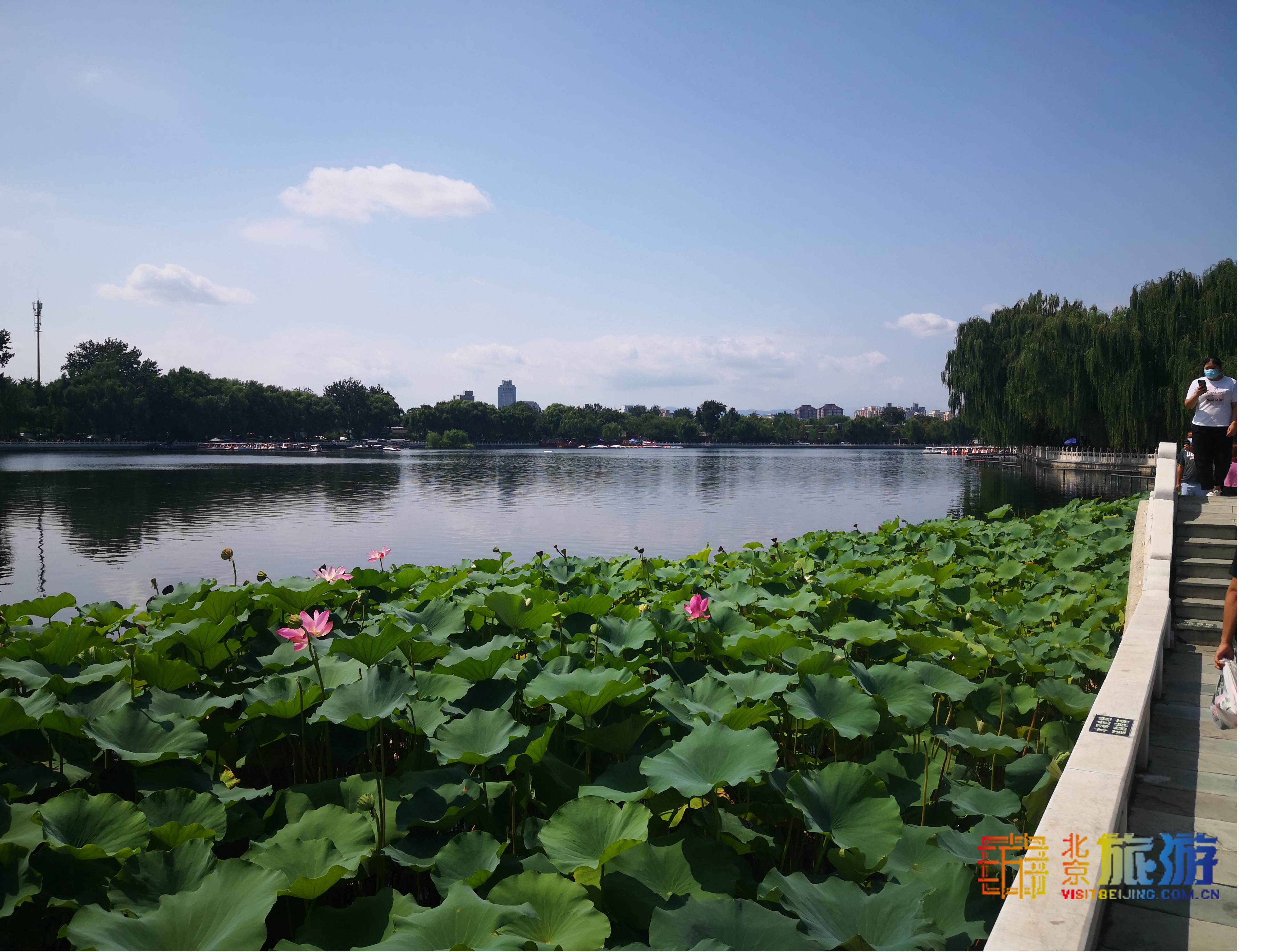 什刹海傍晚怎么玩,什刹海附近晚上适合玩的地方