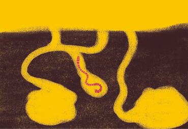 鐢荤敾鍎跨鍒涙剰鐢诲皬鍔ㄧ墿鍏斿瓙,鐢荤敾鏁欑▼7-12宀佸皬鍔ㄧ墿