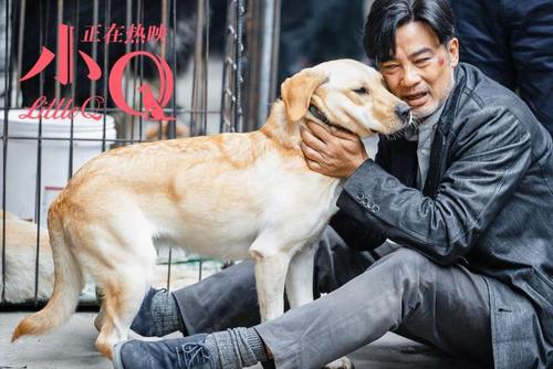 任达华小q电影粤语,任达华电影小q片段